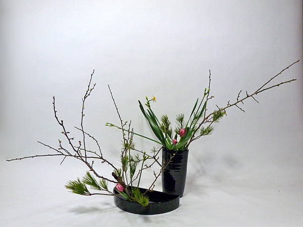 2012年1月3日火曜日、福島県郡山市・菅野草苑（かんのそうえん）教室で学ぶ樋口苑澪さんの作品