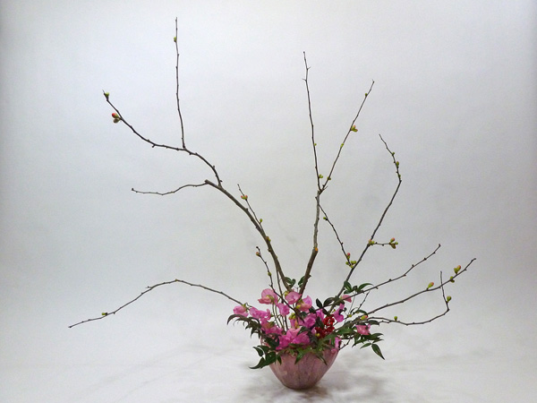 2012年1月23日月曜日、福島県郡山市・菅野草苑（かんのそうえん）教室で学ぶ樋口苑澪さんの作品