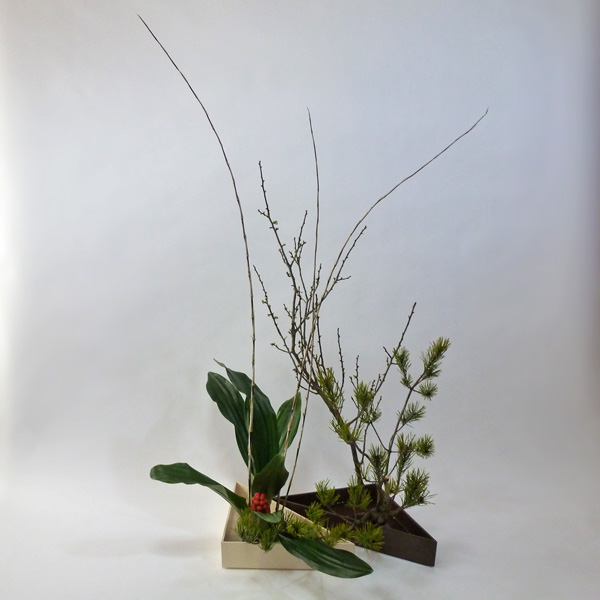 2012年1月9日月曜日、福島県郡山市・菅野草苑（かんのそうえん）教室で学ぶ国分華苑さんの作品