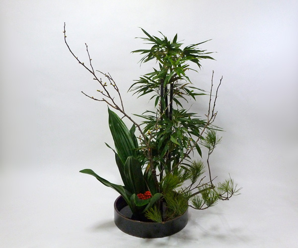 2012年1月12日木曜日、福島県郡山市・菅野草苑（かんのそうえん）さんの作品