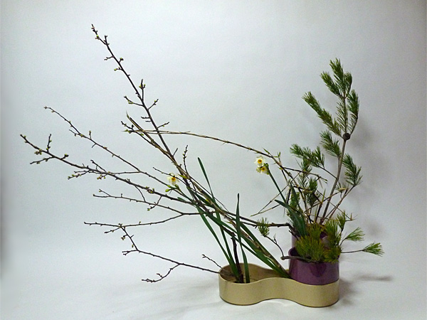 2012年1月11日水曜日、福島県郡山市・菅野草苑（かんのそうえん）教室で学ぶ樋口優輝さんの作品