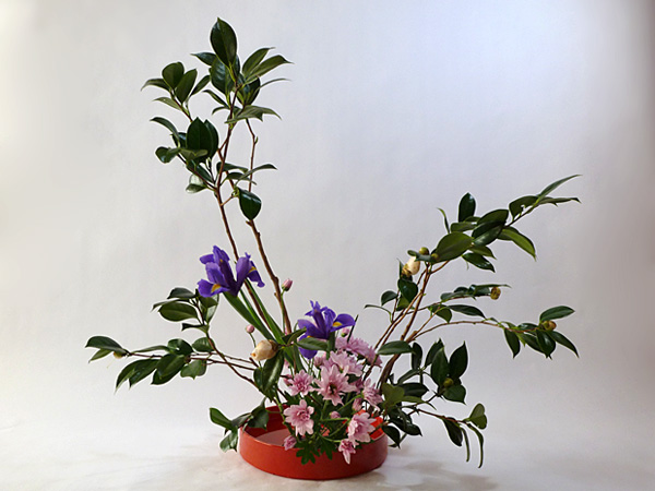 2011年12月6日火曜日、福島県郡山市・菅野草苑（かんのそうえん）教室で学ぶ秋元寛子さんの作品