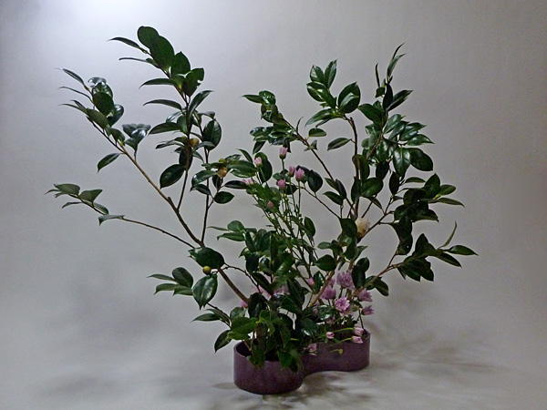 2011年12月7日水曜日、福島県郡山市・菅野草苑（かんのそうえん）教室で学ぶ石本草佳さんの作品