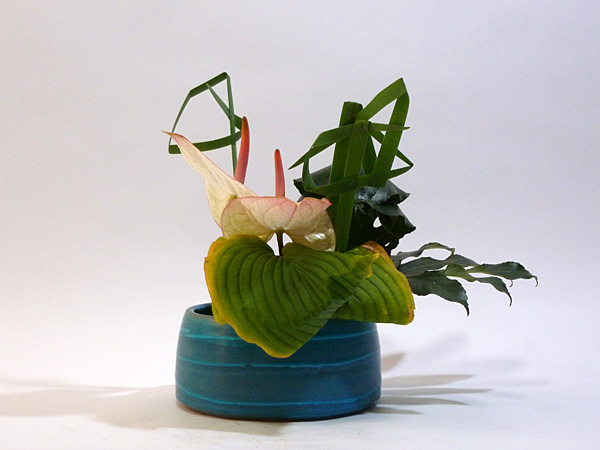 2011年12月15日木曜日、福島県郡山市・菅野草苑（かんのそうえん）教室で学ぶ樋口優輝さんの作品