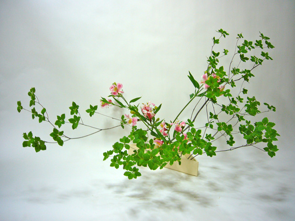 2011年7月7日木曜日、福島県郡山市・菅野草苑（かんのそうえん）教室で学ぶ渡邉遊草さんの作品