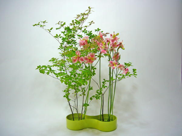 2011年6月30日木曜日、福島県郡山市・菅野草苑（かんのそうえん）教室で学ぶ国分華苑さんの作品