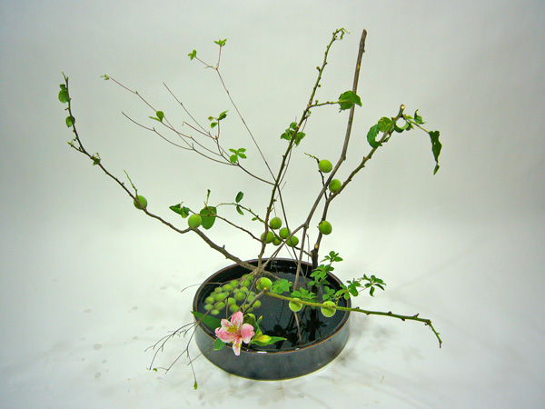 2011年6月29日水曜日、福島県郡山市・菅野草苑（かんのそうえん）教室で学ぶ根本和良さんの作品