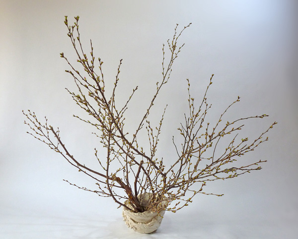 2012年4月6日金曜日、福島県郡山市・菅野草苑（かんのそうえん）さんの作品