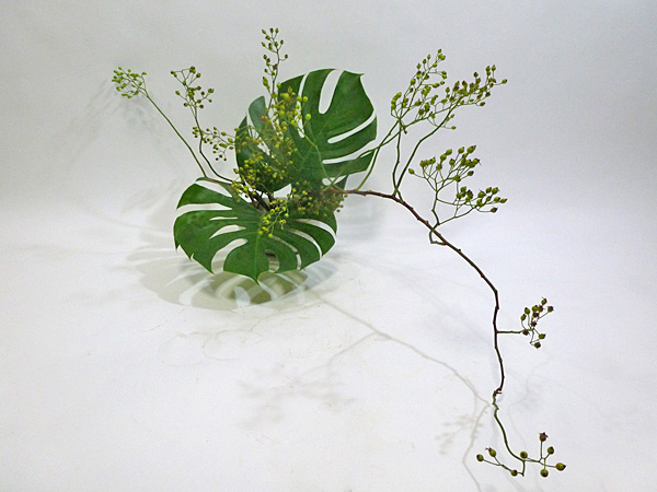 2012年8月2日木曜日、福島県郡山市・菅野草苑（かんのそうえん）教室で学ぶ樋口苑諷（優輝　高３）さんの作品