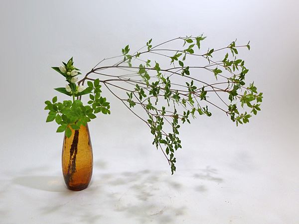 2012年8月31日金曜日、福島県郡山市・菅野草苑（かんのそうえん）教室で学ぶ円谷友子さんの作品