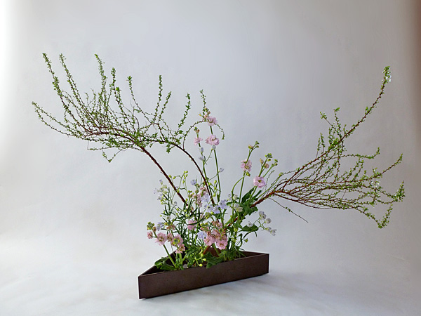 2012年2月13日月曜日、福島県郡山市・菅野草苑（かんのそうえん）教室で学ぶ秋元寛子さんの作品