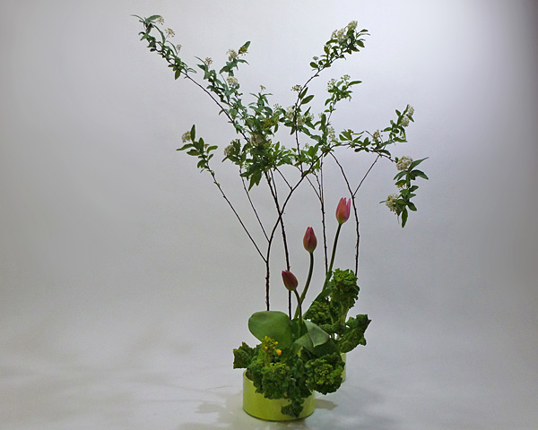 2012年2月21日火曜日、福島県郡山市・菅野草苑（かんのそうえん）教室で学ぶ国分華苑さんの作品