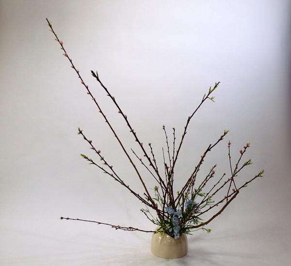 2012年2月17日金曜日、福島県郡山市・菅野草苑（かんのそうえん）さんの作品