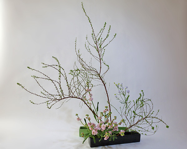 2012年2月10日金曜日、福島県郡山市・菅野草苑（かんのそうえん）教室で学ぶ本間草葵さんの作品