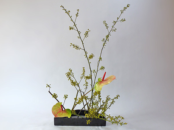 2012年2月28日火曜日、福島県郡山市・菅野草苑（かんのそうえん）教室で学ぶ本間草葵さんの作品