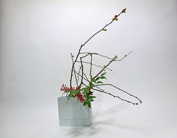 2012年2月2日木曜日、福島県郡山市・菅野草苑（かんのそうえん）教室で学ぶ樋口優輝さんの作品