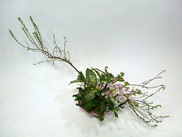 2012年2月16日木曜日、福島県郡山市・菅野草苑（かんのそうえん）教室で学ぶ樋口優輝さんの作品