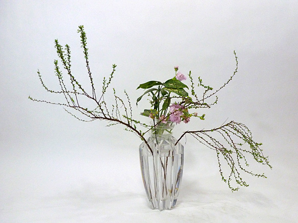 2012年2月23日木曜日、福島県郡山市・菅野草苑（かんのそうえん）教室で学ぶ樋口優輝さんの作品