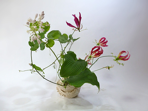 2012年7月20日金曜日、福島県郡山市・菅野草苑（かんのそうえん）さんの作品