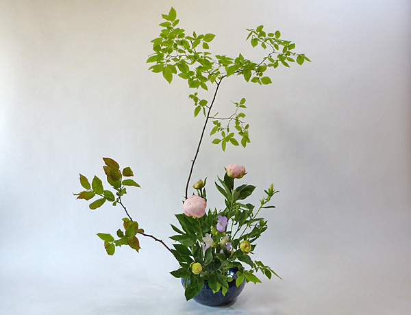 2012年6月13日水曜日、福島県郡山市・菅野草苑（かんのそうえん）教室で学ぶ本間草葵さんの作品