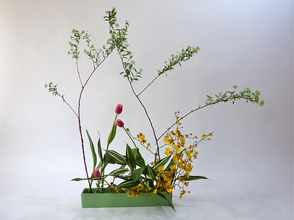 2012年3月27日火曜日、福島県郡山市・菅野草苑（かんのそうえん）さんの作品