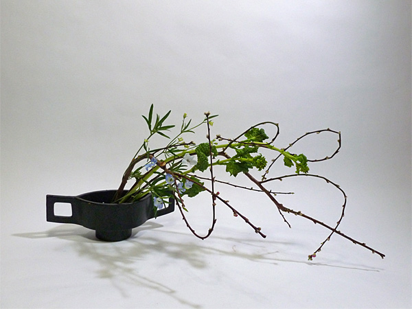 2012年3月6日火曜日、福島県郡山市・菅野草苑（かんのそうえん）教室で学ぶ樋口優輝さんの作品