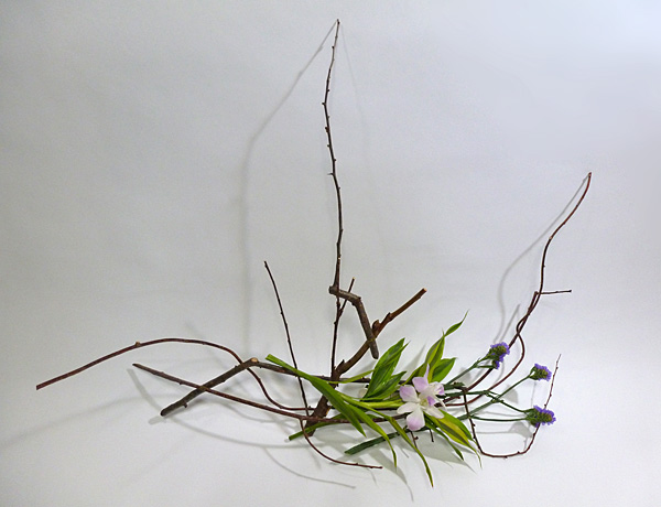 2012年3月16日金曜日、福島県郡山市・菅野草苑（かんのそうえん）教室で学ぶ樋口優輝さんの作品