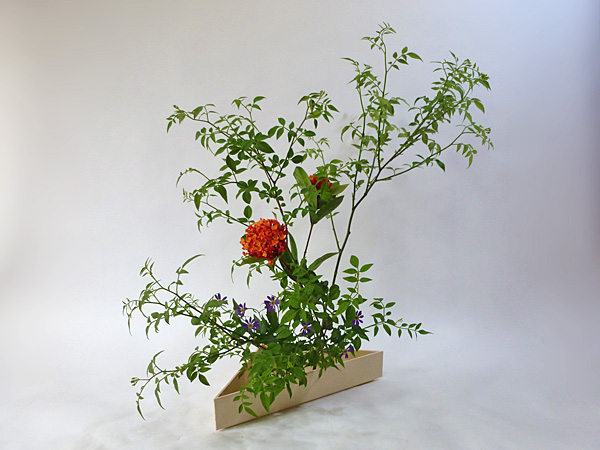 2012年5月28日月曜日、福島県郡山市・菅野草苑（かんのそうえん）教室で学ぶ本間草葵さんの作品