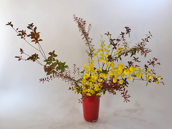 2012年11月15日木曜日、福島県郡山市・菅野草苑（かんのそうえん）教室で学ぶ秋元寛子さんの作品