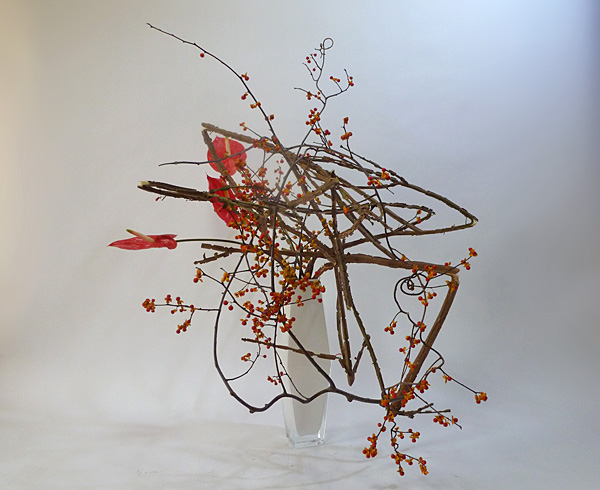 2012年11月23日金曜日、福島県郡山市・菅野草苑（かんのそうえん）さんの作品