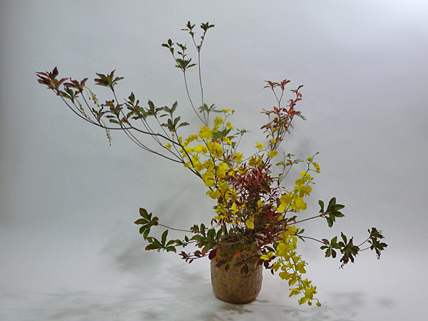 2012年11月19日月曜日、福島県郡山市・菅野草苑（かんのそうえん）教室で学ぶ石本草佳さんの作品