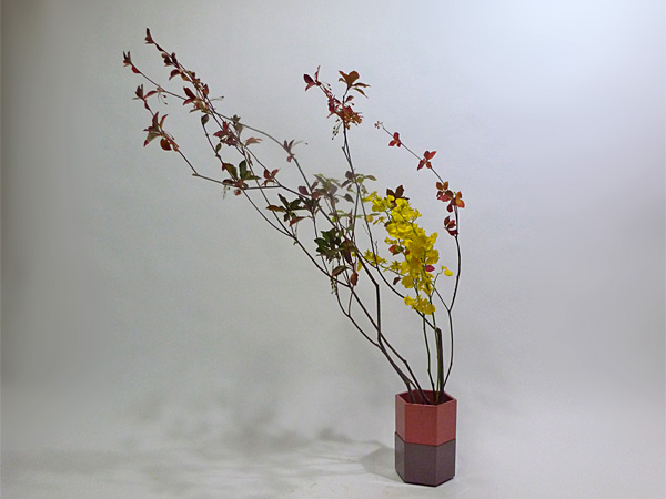 2012年11月21日水曜日、福島県郡山市・菅野草苑（かんのそうえん）教室で学ぶ樋口苑諷（優輝　高３）さんの作品