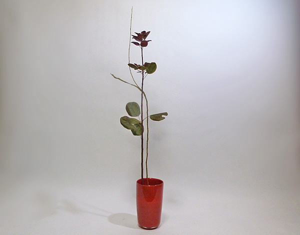 2012年9月26日水曜日、福島県郡山市・菅野草苑（かんのそうえん）教室で学ぶ円谷友子さんの作品