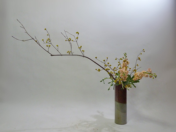 2013年4月1日月曜日、福島県郡山市・菅野草苑（かんのそうえん）教室で学ぶ七海彩夏さんの作品