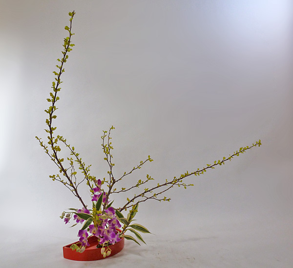 2013年4月15日月曜日、福島県郡山市・菅野草苑（かんのそうえん）教室で学ぶ秋元寛子さんの作品