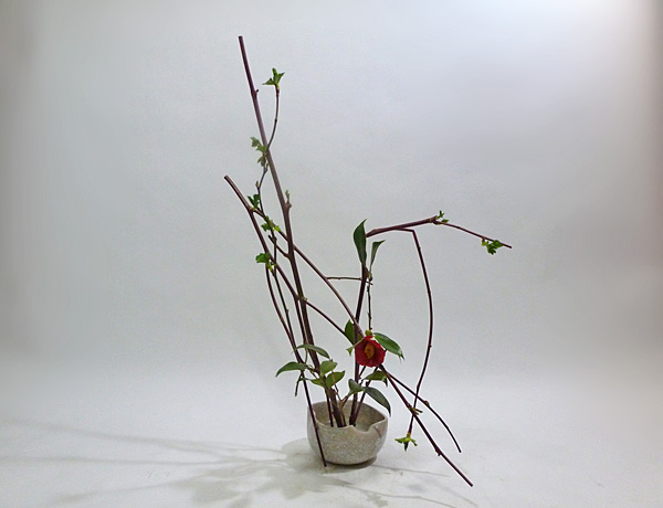 2013年4月11日木曜日、福島県郡山市・菅野草苑（かんのそうえん）教室で学ぶ根本和良さんの作品