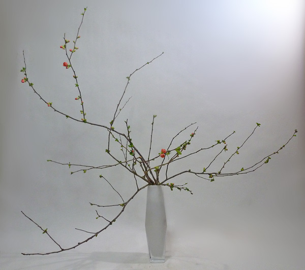 2013年4月2日火曜日、福島県郡山市・菅野草苑（かんのそうえん）教室で学ぶ大河原喜恵さんの作品