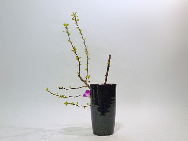 2013年4月17日水曜日、福島県郡山市・菅野草苑（かんのそうえん）教室で学ぶ大河原喜恵さんの作品