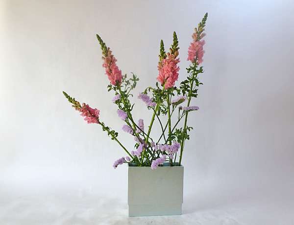 2013年4月8日月曜日、福島県郡山市・菅野草苑（かんのそうえん）さんの作品