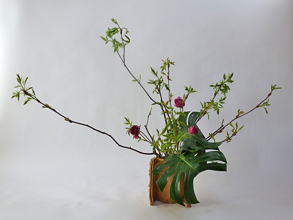 2013年4月19日金曜日、福島県郡山市・菅野草苑（かんのそうえん）さんの作品