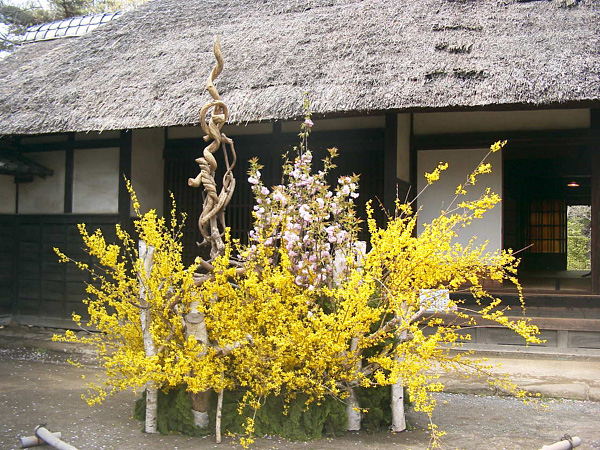 2013年4月26日金曜日、草月流・上條蓉芳さん・秋元白芳さん・石川明鶯さん・伊勢華泉さん・福田裕芳さん・林倫芳さん・山口梗鷗さん・山田幸芳さんの作品