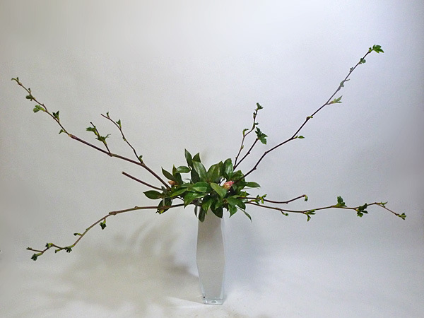 2013年4月9日火曜日、福島県郡山市・菅野草苑（かんのそうえん）教室で学ぶ樋口苑諷（優輝）さんの作品