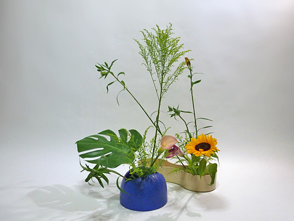 2013年8月7日水曜日、福島県郡山市・菅野草苑（かんのそうえん）教室で学ぶ七海彩夏さんの作品