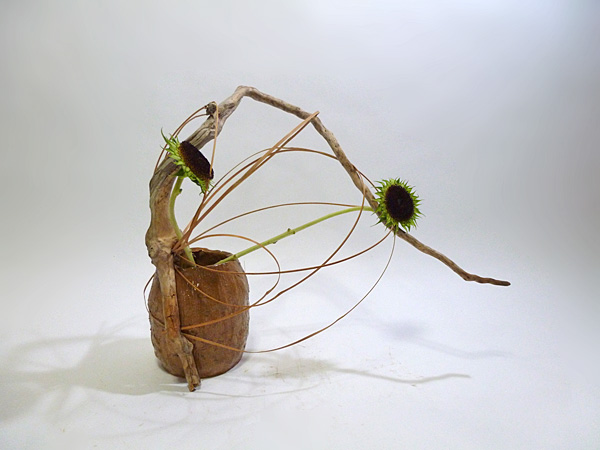 2013年8月23日金曜日、福島県郡山市・菅野草苑（かんのそうえん）教室で学ぶ樋口苑諷さんの作品