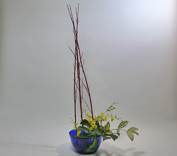 2013年12月5日木曜日、福島県郡山市・菅野草苑（かんのそうえん）教室で学ぶ樋口苑澪さんの作品