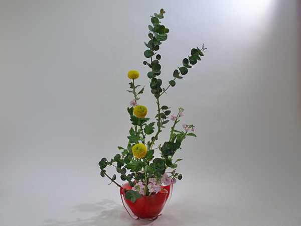 2013年12月19日木曜日、福島県郡山市・菅野草苑（かんのそうえん）教室で学ぶ秋元寛子さんの作品