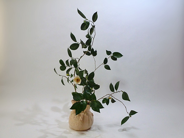 2013年12月26日木曜日、福島県郡山市・菅野草苑（かんのそうえん）さんの作品