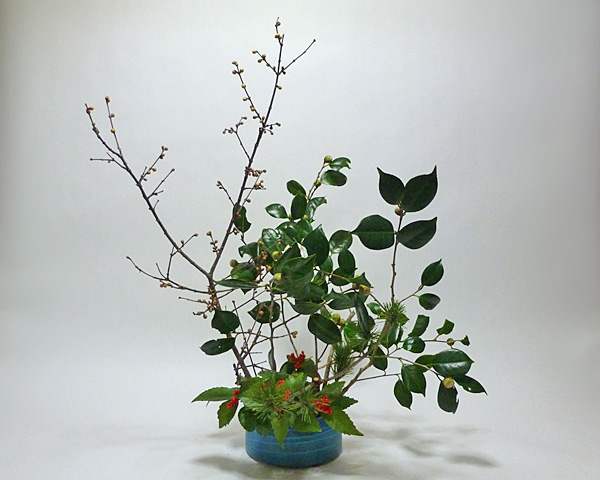 2014年1月1日水曜日、福島県郡山市・菅野草苑（かんのそうえん）さんの作品