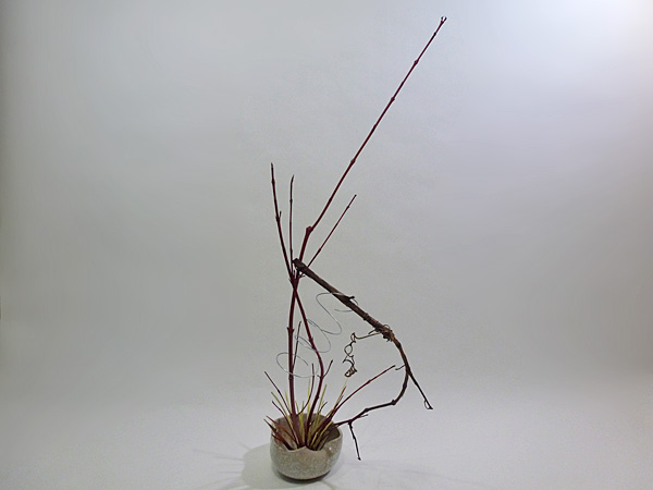 2013年12月6日金曜日、福島県郡山市・菅野草苑（かんのそうえん）教室で学ぶ樋口苑諷さんの作品