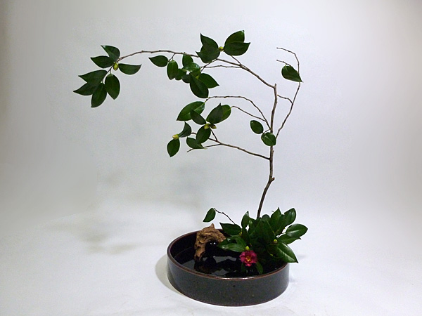 2013年12月30日月曜日、福島県郡山市・菅野草苑（かんのそうえん）教室で学ぶ樋口苑諷さんの作品